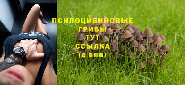 ECSTASY Протвино